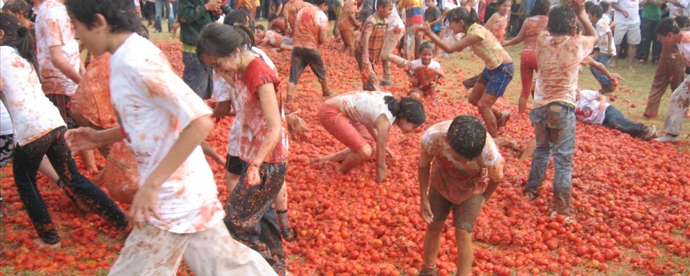 Tomatina Festival